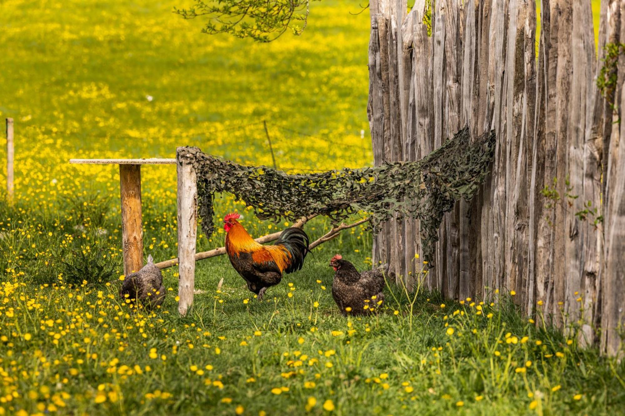 Ferienwohnungen Am Gablerhof Бад Райхенхал Екстериор снимка
