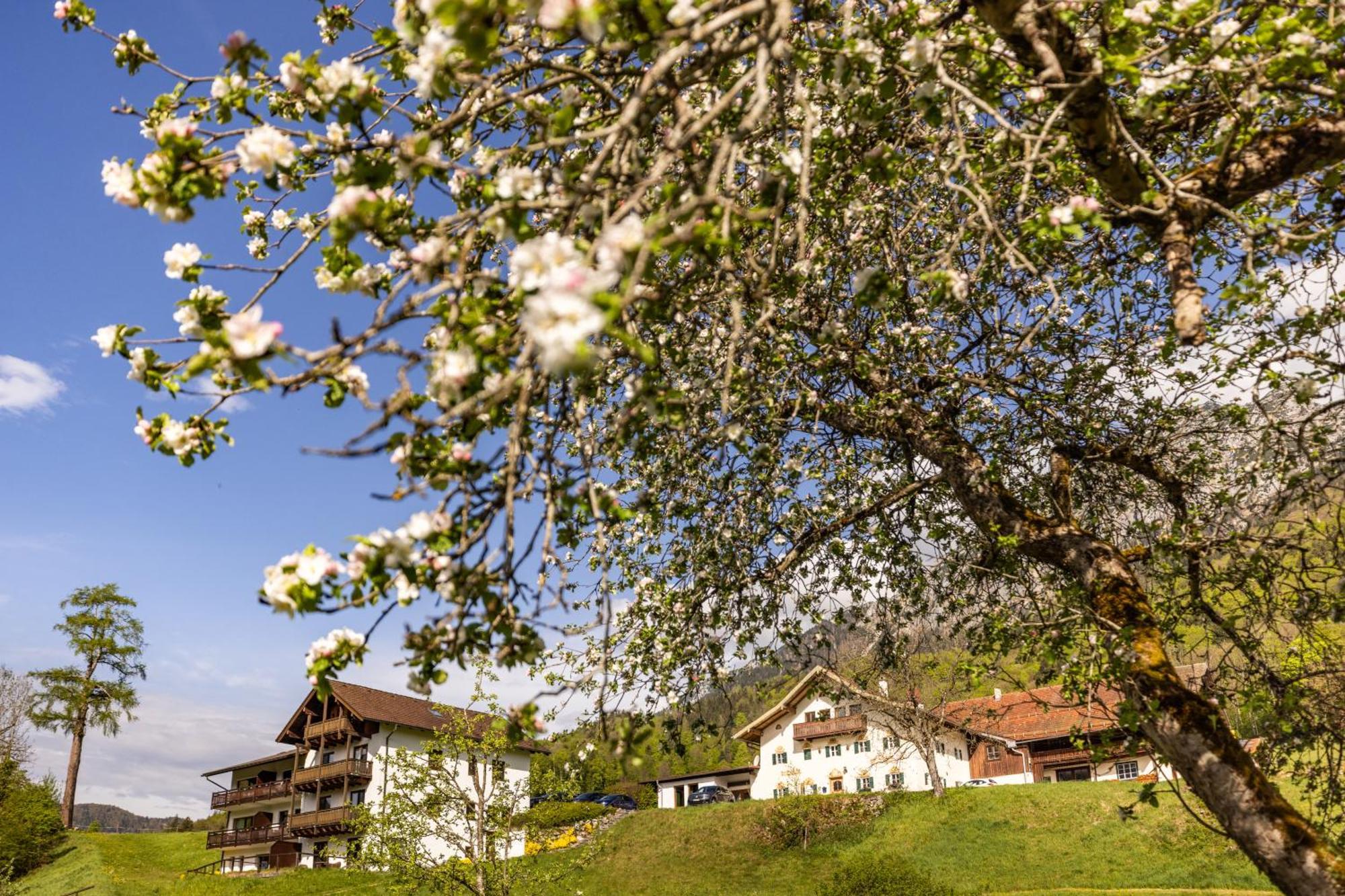 Ferienwohnungen Am Gablerhof Бад Райхенхал Екстериор снимка